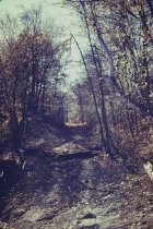 Looking up old beach road